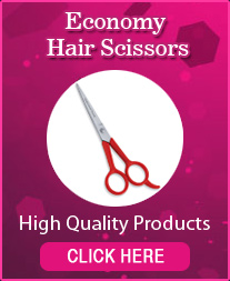 Economy Hair Scissors